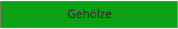 Gehölze