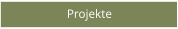 Projekte