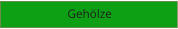 Gehölze