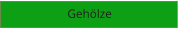 Gehölze