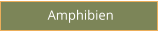 Amphibien