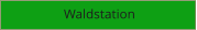 Waldstation
