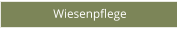 Wiesenpflege