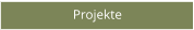 Projekte